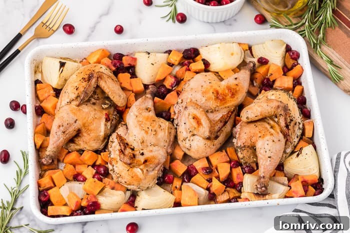Sheet Pan Chicken with Sweet Potatoes and Cranberries, a delightful fall dinner.