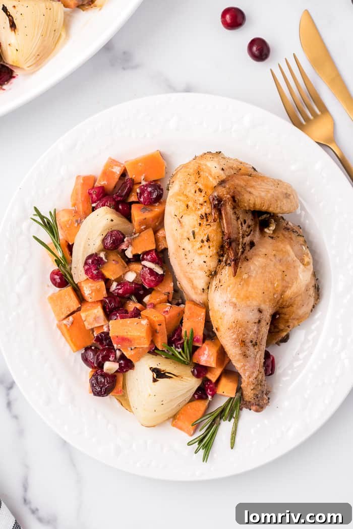 Ingredients for Sheet Pan Chicken with Sweet Potatoes and Cranberries spread out on a counter.