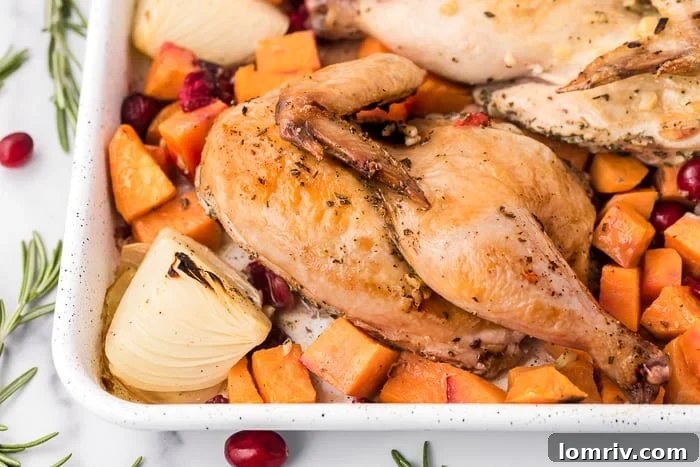 Easy Sheet Pan Chicken with Sweet Potatoes and Cranberries, ready to serve.