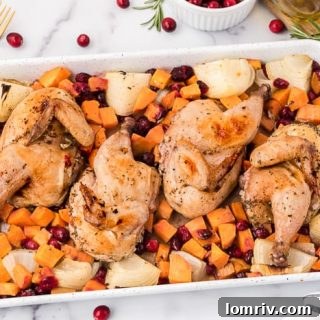 Sheet Pan Chicken with Sweet Potatoes and Cranberries