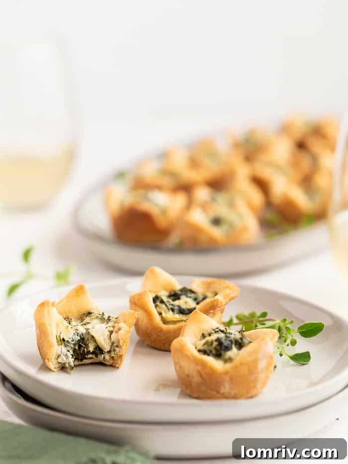 Golden-brown Spinach Artichoke Dip Bites, ready to serve