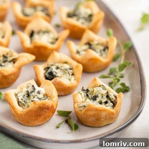 Spinach Artichoke Dip Bites
