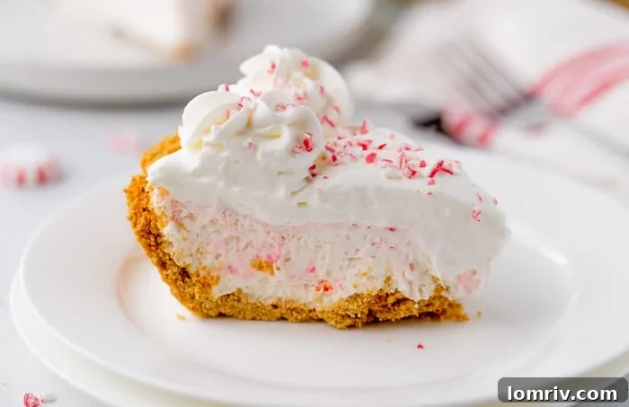 Preparing the graham cracker crust for no-bake cheesecake