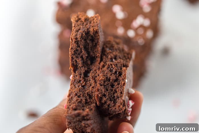 Delicious brownie batter being prepared in a bowl