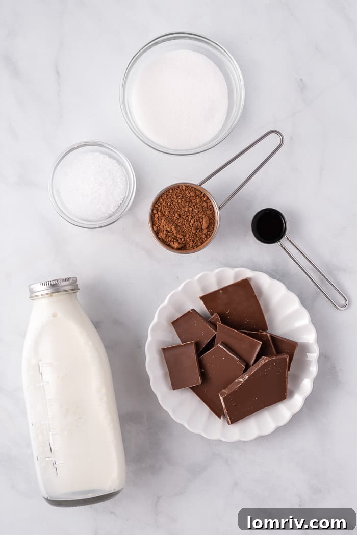 Ingredients for homemade hot chocolate laid out