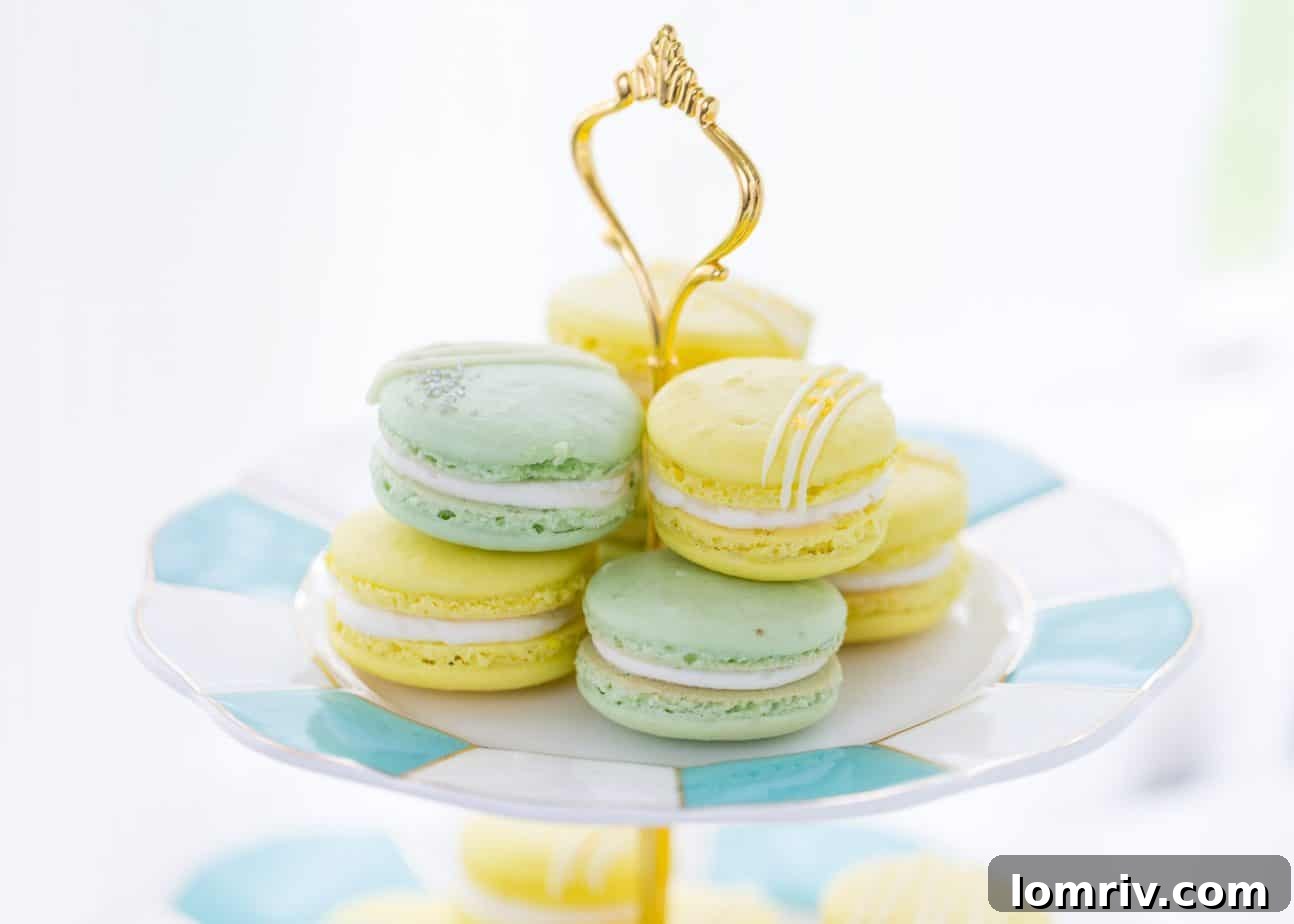 A top-down view of an open box filled with beautifully crafted Lemon Lime Macarons, ready to be enjoyed.