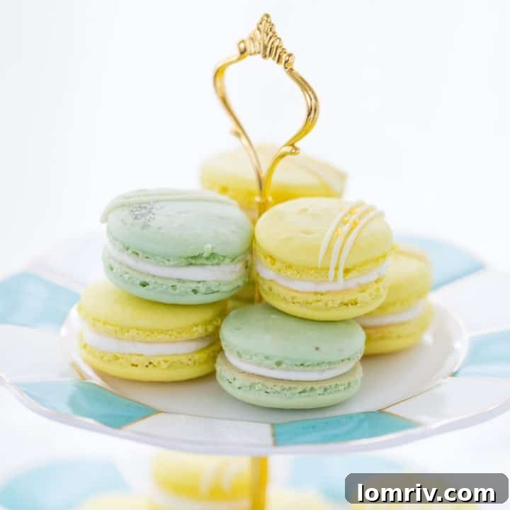 Lemon Lime Macarons