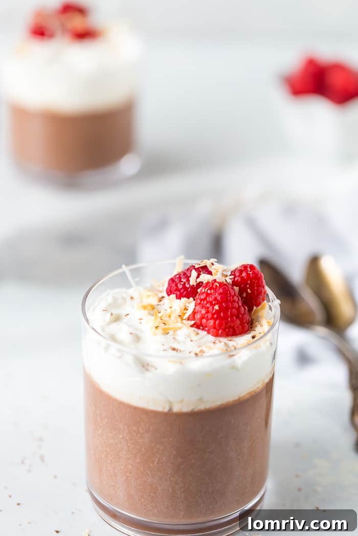 Close-up of Chocolate Coconut Panna Cotta with Berries