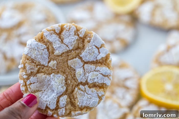 Array of Meyer Lemon Crinkle Cookies artfully arranged, ready for serving or gifting.
