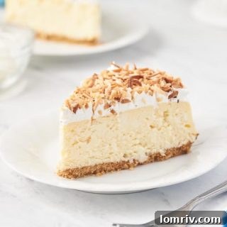 Coconut Cheesecake