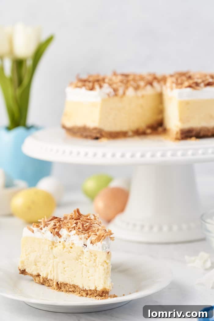 A beautifully presented Coconut Cheesecake, adorned with toasted coconut flakes, on a clean white plate.