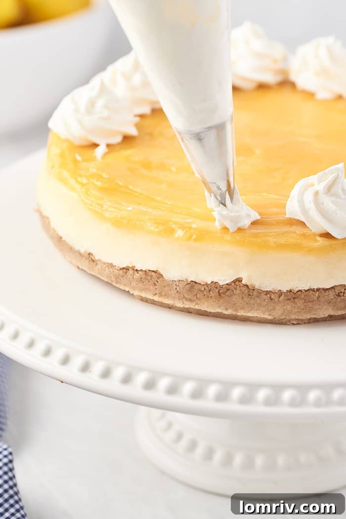 Lemon Cheesecake with Toppings