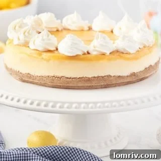 Lemon Cheesecake