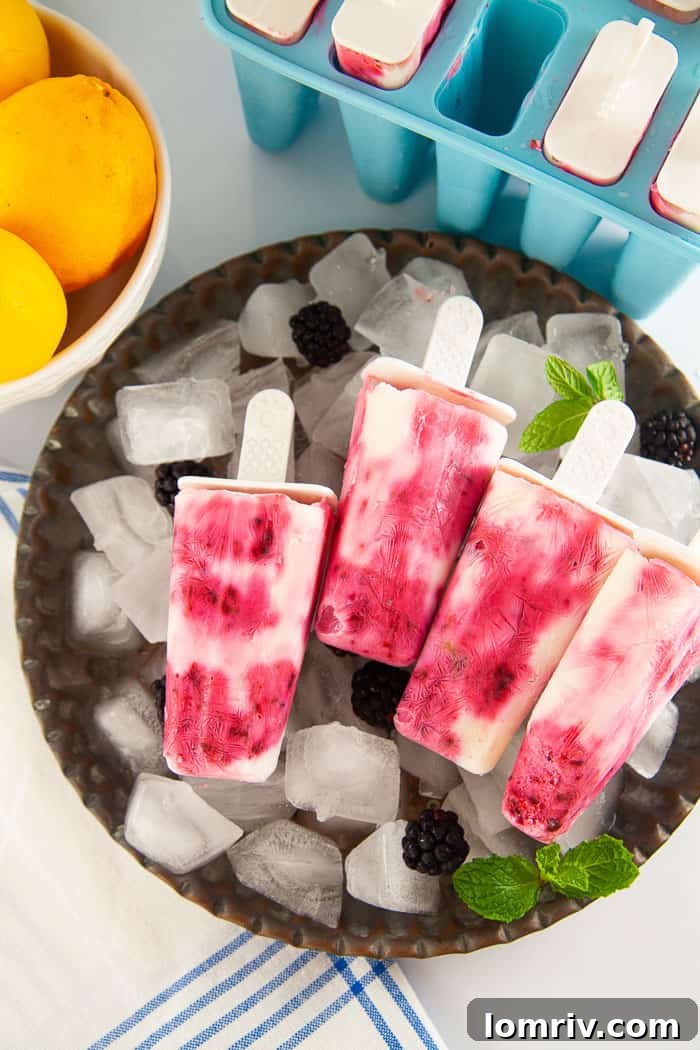 Delicious and refreshing homemade Blackberry Popsicles, perfect for summer.