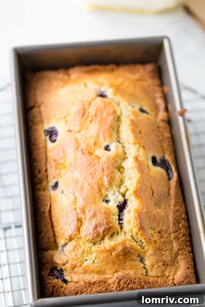 Brown Butter Blueberry Lemon Cake