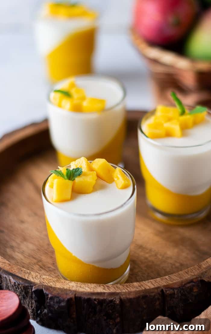 Creamy Mango Panna Cotta, a refreshing no-bake dessert for summer