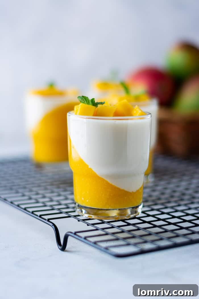 Mango Panna Cotta with both layers set, ready to serve