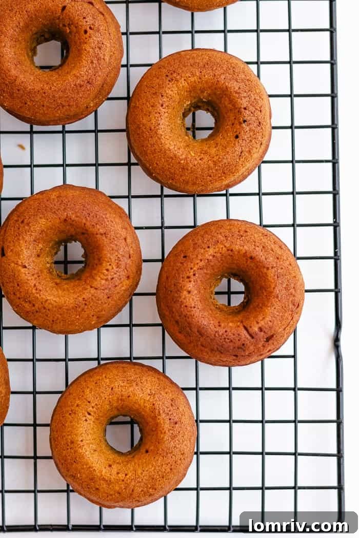 Baked Pumpkin Donuts with Cream Cheese Frosting