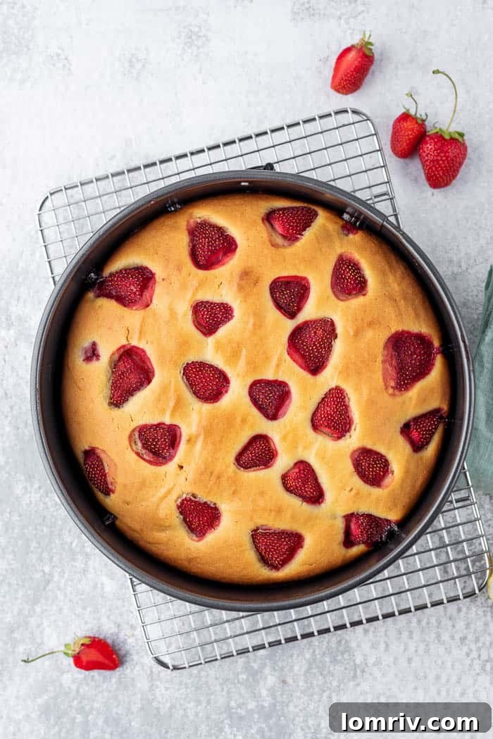 Fresh Strawberry Cake