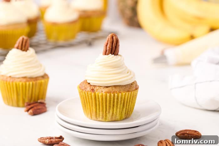 Hummingbird cupcakes with a backdrop of a vibrant garden.