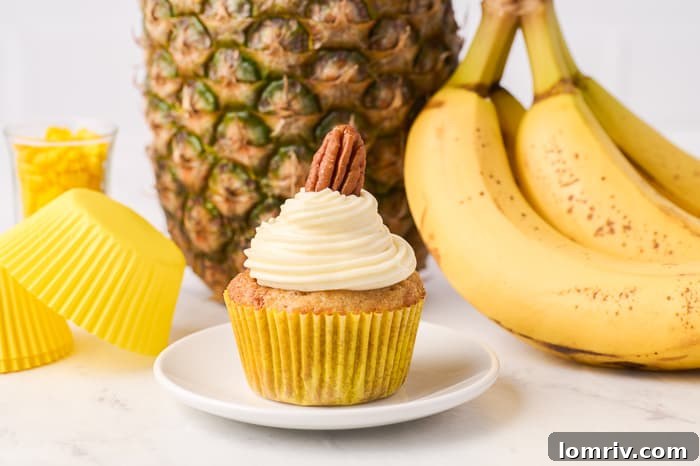 Hummingbird Cupcakes arranged neatly, showcasing their golden-brown tops.