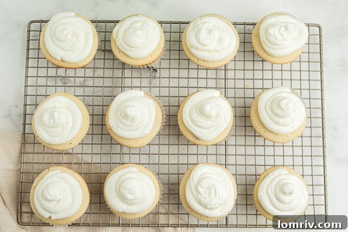 A close-up shot of several frosted Coconut Blueberry Cupcakes with a hint of blueberry filling.