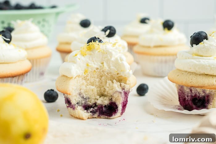 A vibrant display of Coconut Blueberry Cupcakes, perfect for a summer gathering or sweet treat.