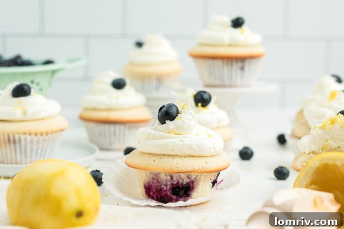 Side view of a Coconut Blueberry Cupcake, showing the moist cake and fluffy frosting, against a summery background.