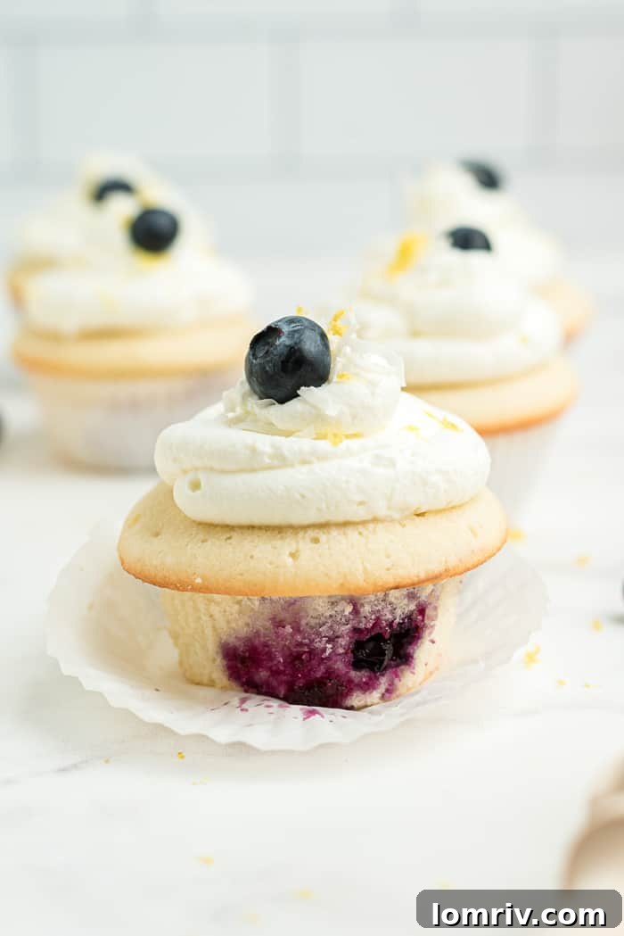 A beautifully decorated Coconut Blueberry Cupcake, showcasing the perfect piping of the coconut frosting.