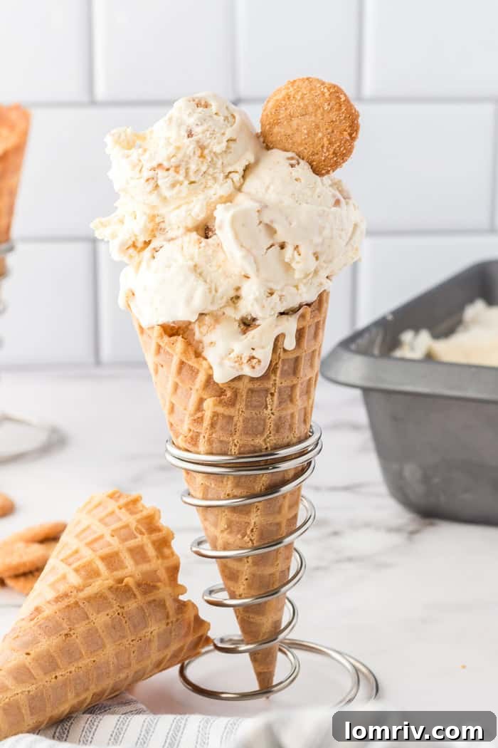 No-Churn Snickerdoodle Ice Cream
