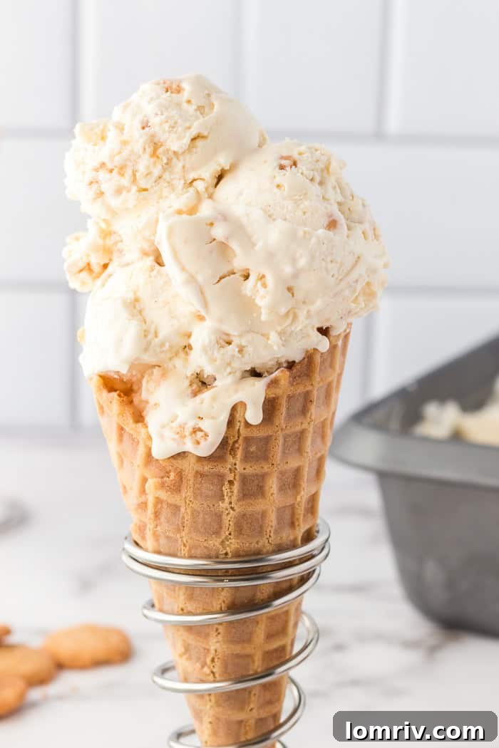 No-Churn Snickerdoodle Ice Cream