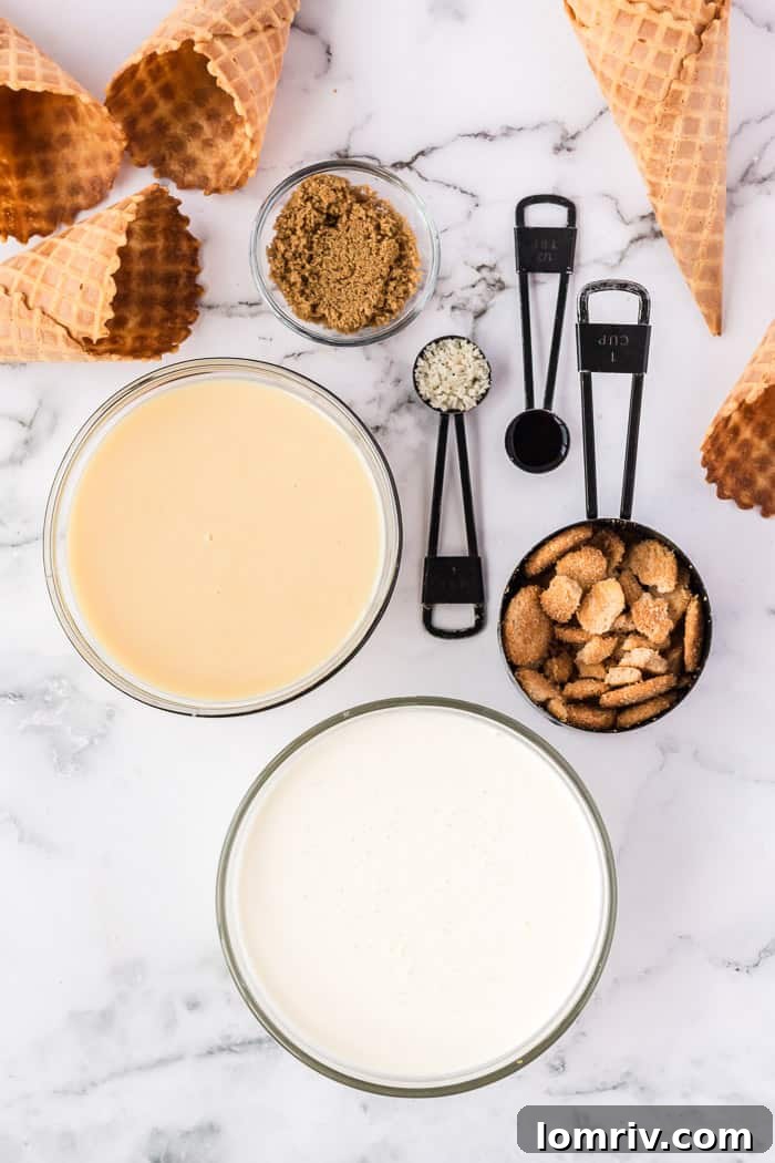 No-Churn Snickerdoodle Ice Cream