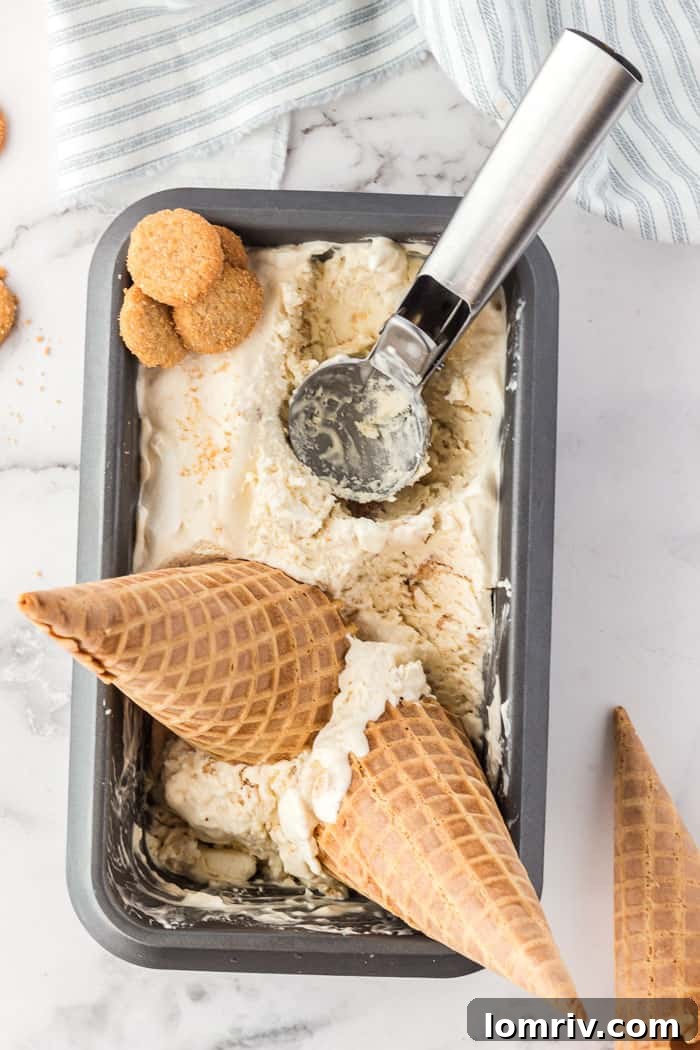 No-Churn Snickerdoodle Ice Cream