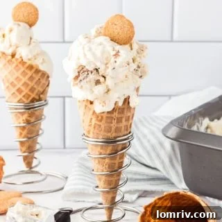 No-Churn Snickerdoodle Ice Cream