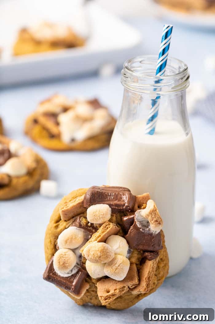 Pumkpin Smores Cookies