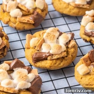 Pumkpin Smores Cookies