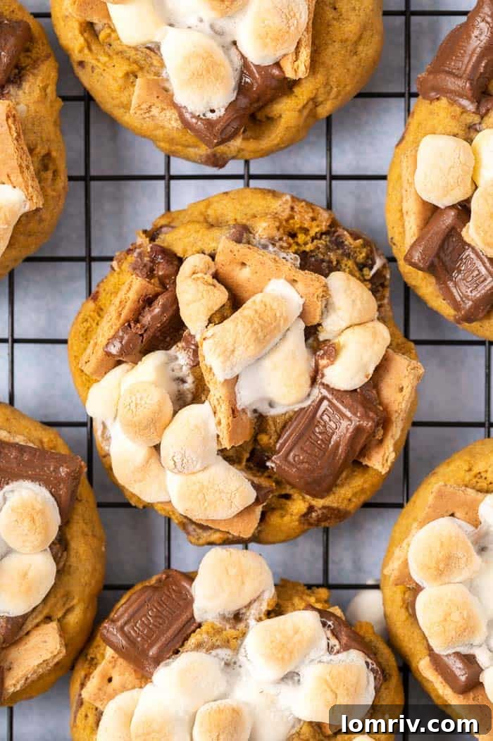 Pumkpin Smores Cookies