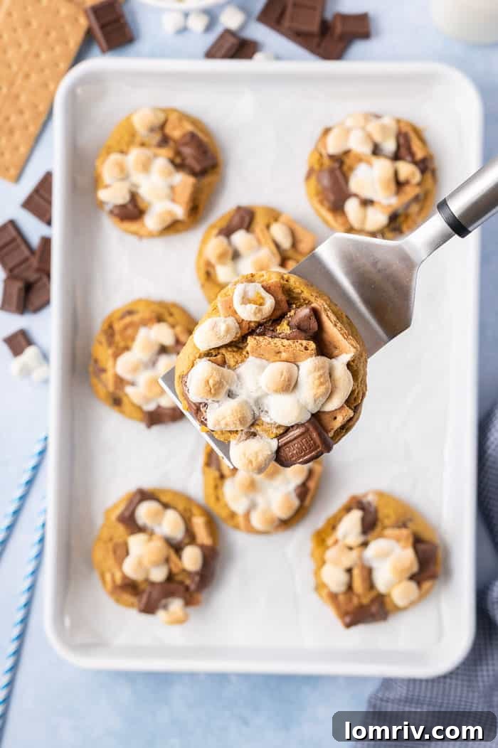 Pumkpin Smores Cookies