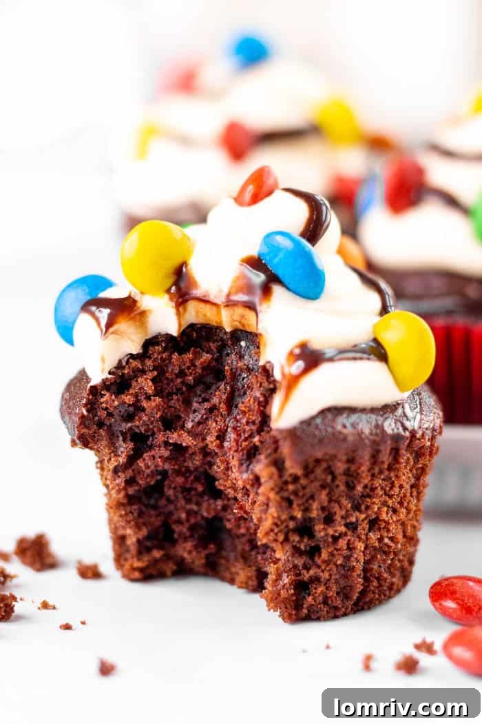 Christmas Lights Chocolate Cupcakes - Final Display