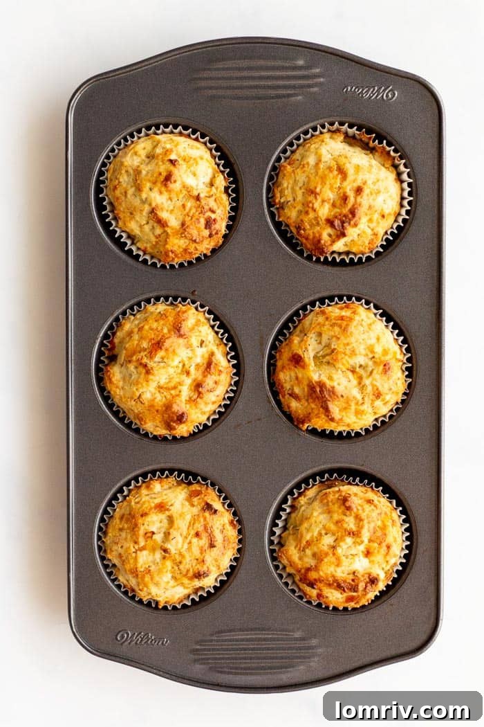 Apple Cheddar Savory Muffins