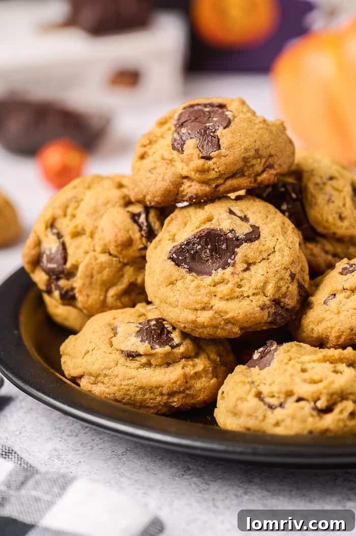 Delicious Chocolate Peanut Butter Pumpkin Cookies arranged on a cooling rack, ready to be enjoyed as a perfect fall dessert.