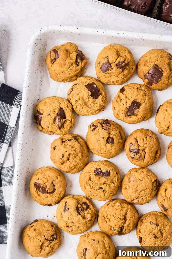 Freshly baked Pumpkin Peanut Butter Chocolate Cookies cooling on a wire rack after being removed from the oven, ready to be enjoyed.
