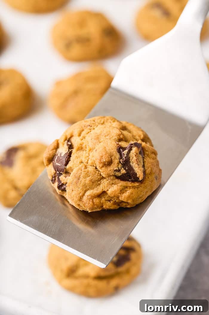 A close-up shot of a single Pumpkin Peanut Butter Chocolate Cookie, showing its interior with melted chocolate and creamy peanut butter pieces.