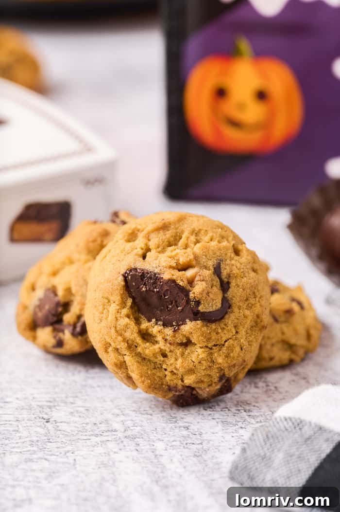 A final beauty shot of Pumpkin Peanut Butter Chocolate Cookies, perfectly golden-brown with soft centers, symbolizing the ultimate fall dessert.