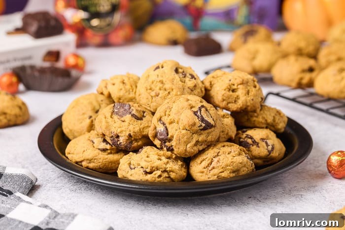 Close-up of freshly baked Pumpkin Peanut Butter Chocolate Cookies, showcasing their soft, chewy texture and generous chunks of chocolate and peanuts.