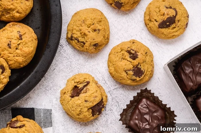 Several Pumpkin Peanut Butter Chocolate Cookies neatly arranged on a simple white serving dish, invitingly presented for enjoyment.