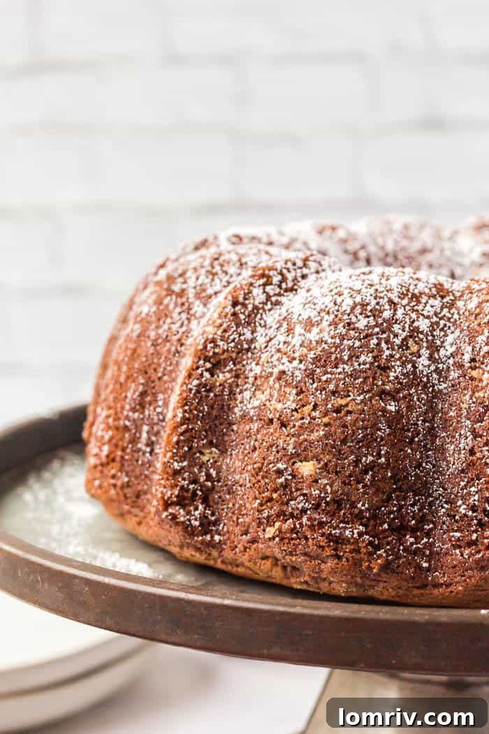 Gingerbread Bundt Cake - Main Image