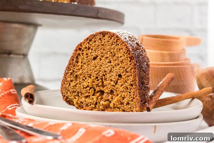 Gingerbread Bundt Cake - Styled
