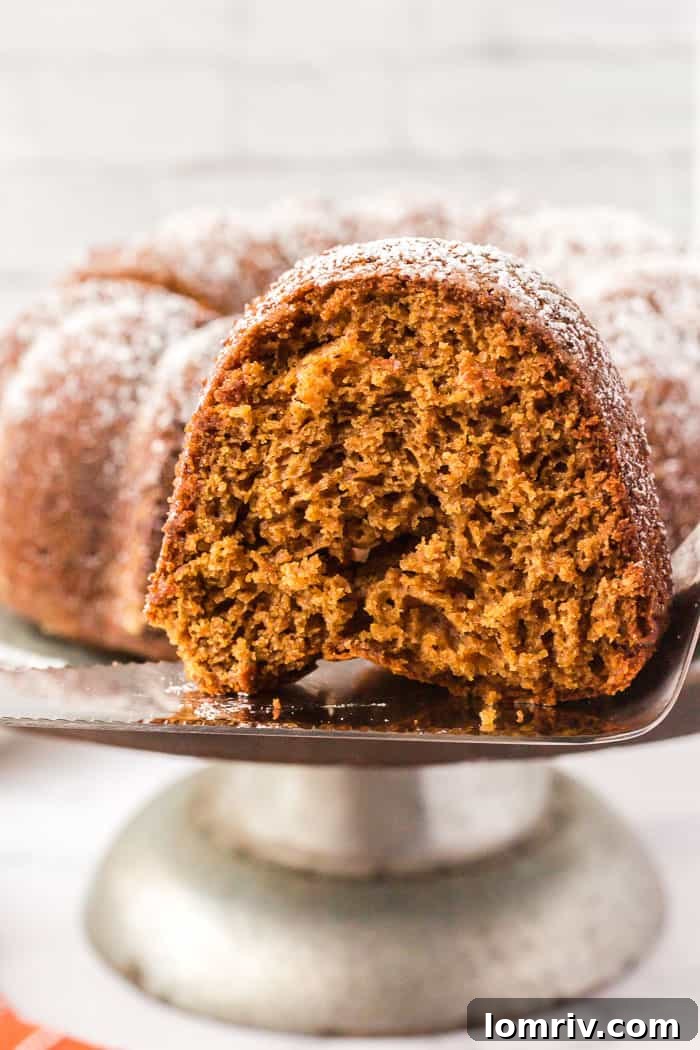 Gingerbread Bundt Cake - Served