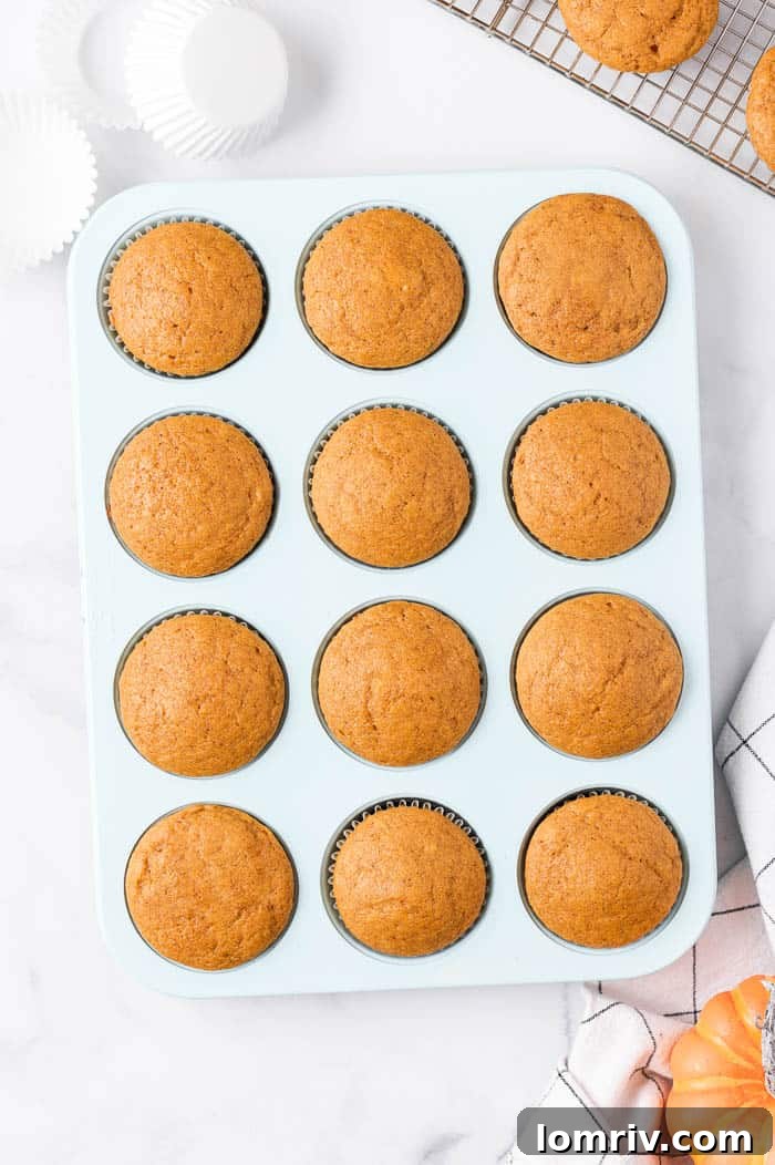 A batch of baked pumpkin spice cupcakes waiting to be frosted